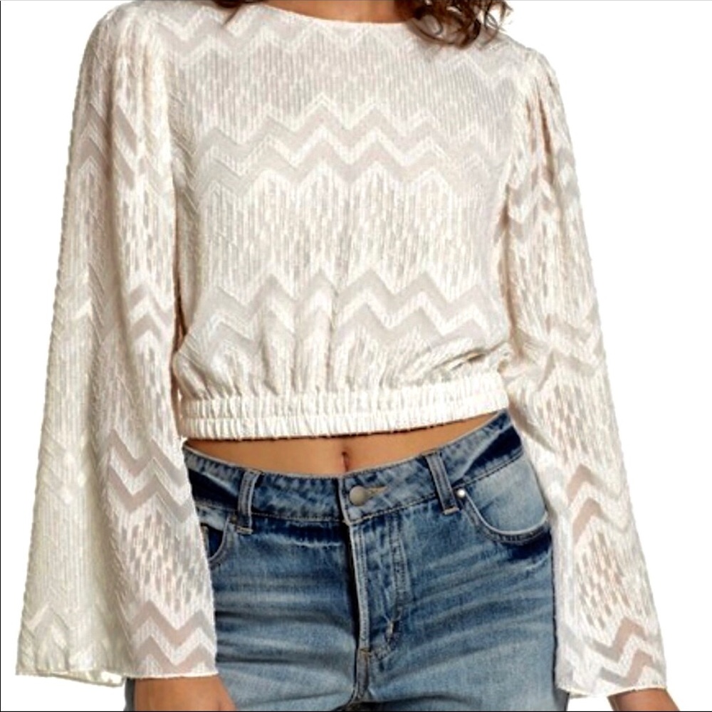 Gorgeous NWOT WAYF shimmer blouse with bell sleeve